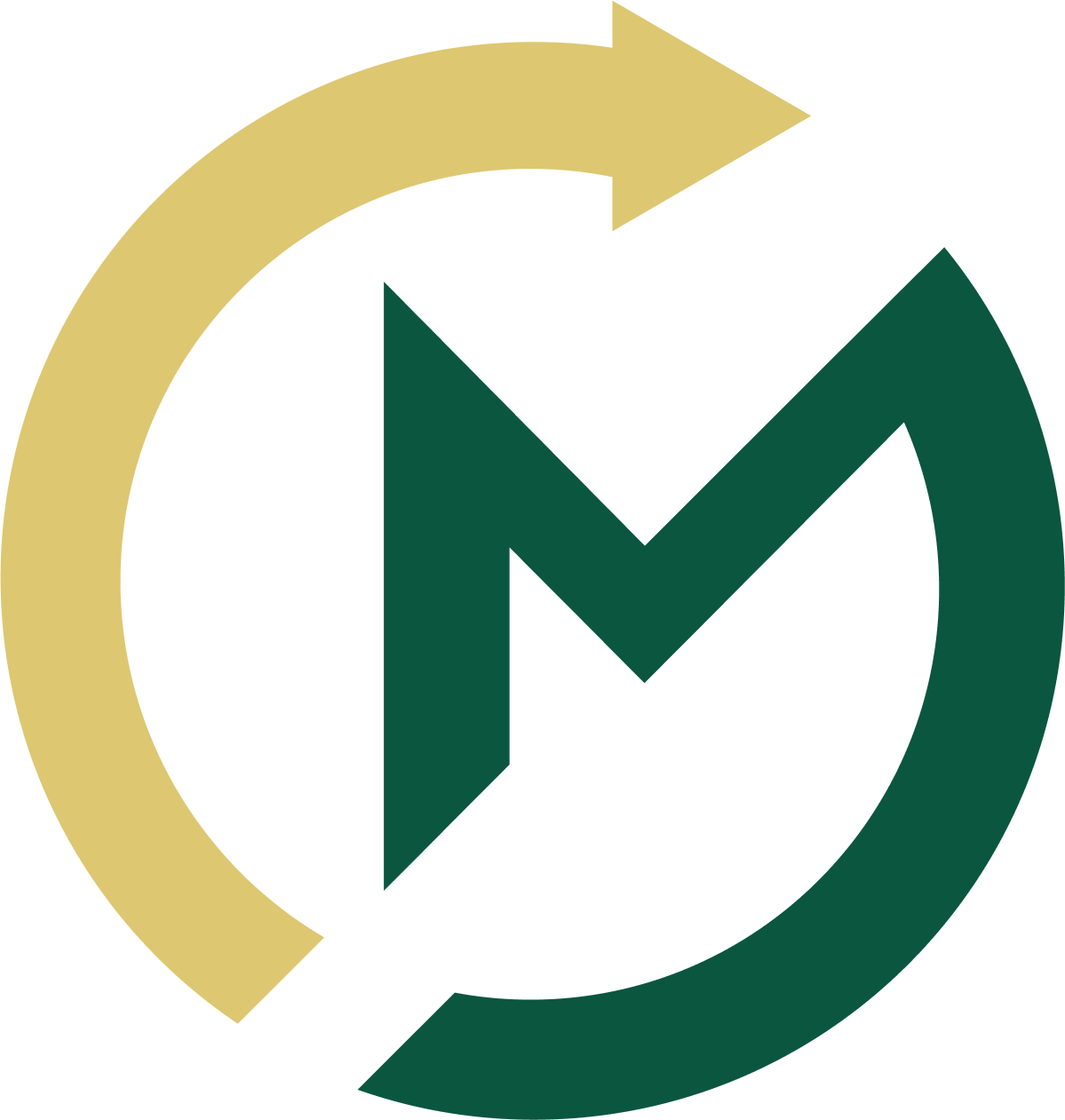 Circular Momentum Logo